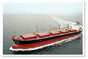 Export & Logistics