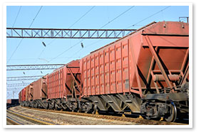 Export & Logistics